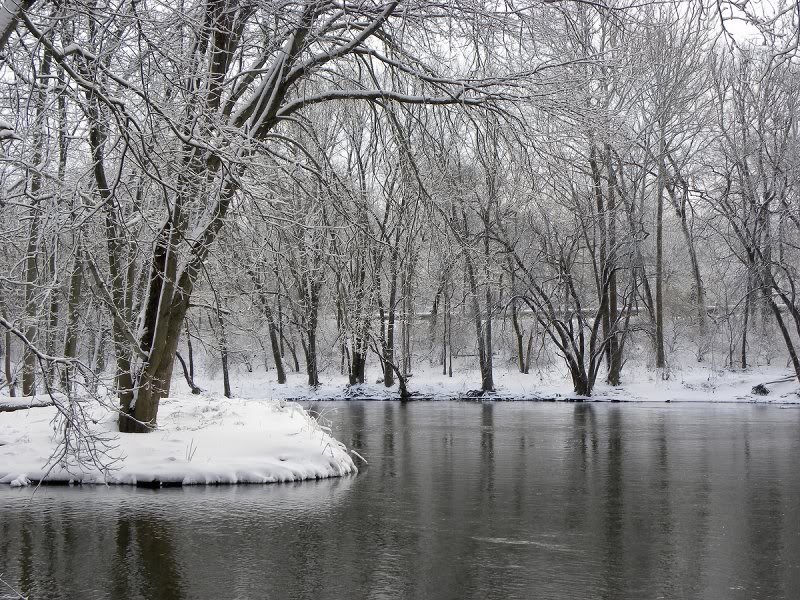 Snow-covered Riverbank — White, Serene, Winter, Photograph