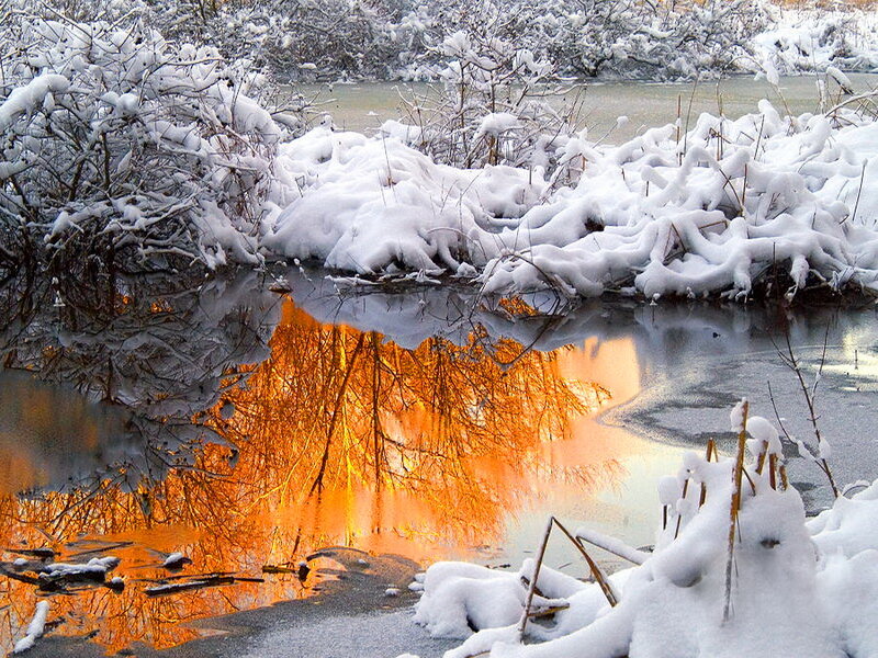 Snow-covered Riverbank — White, Serene, Winter