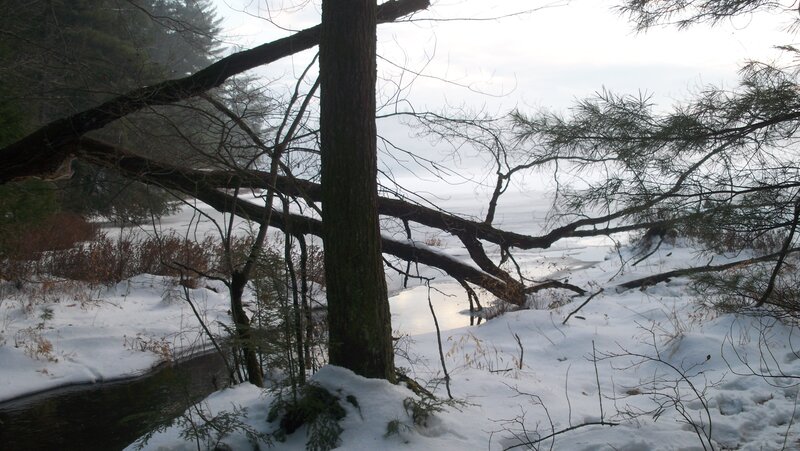 Snow-covered Riverbank — White