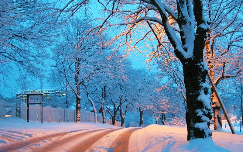 Snow-covered Road at Dusk — Blue, Serene, Winter, Photograph, Trees, Sign