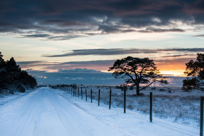 Snow-covered Road at Dusk — Blue