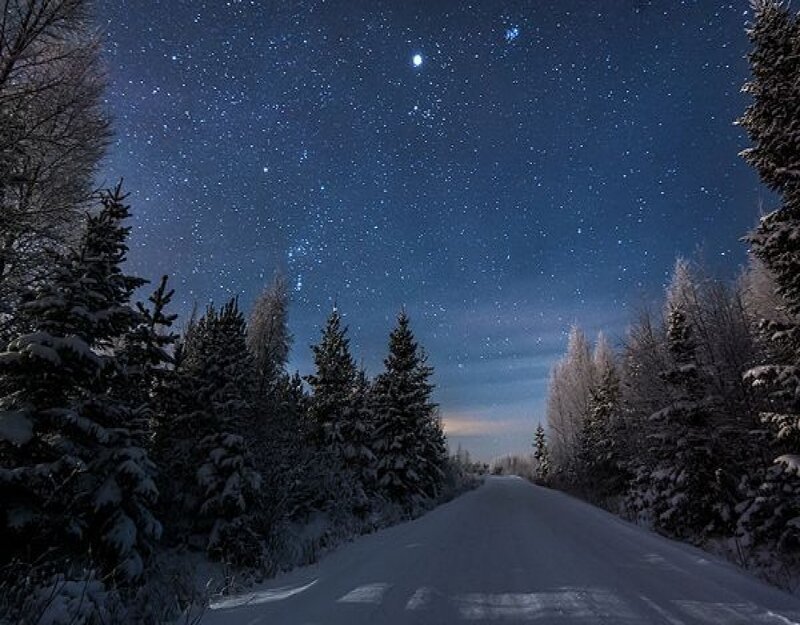 Snow-covered Road at Night — Blue, Serene, Photograph, Trees, Stars