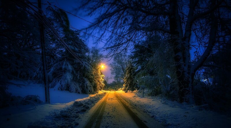 Snow-covered Road at Night — Blue, Serene, Photograph, Trees, Streetlight