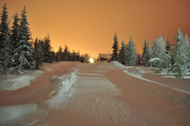 Snow-covered Road at Night — Orange
