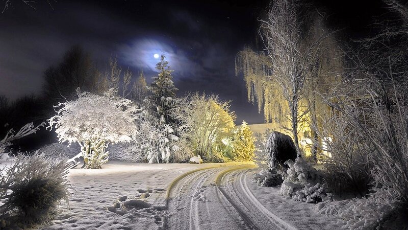 Snow-covered Road at Night — White, Serene