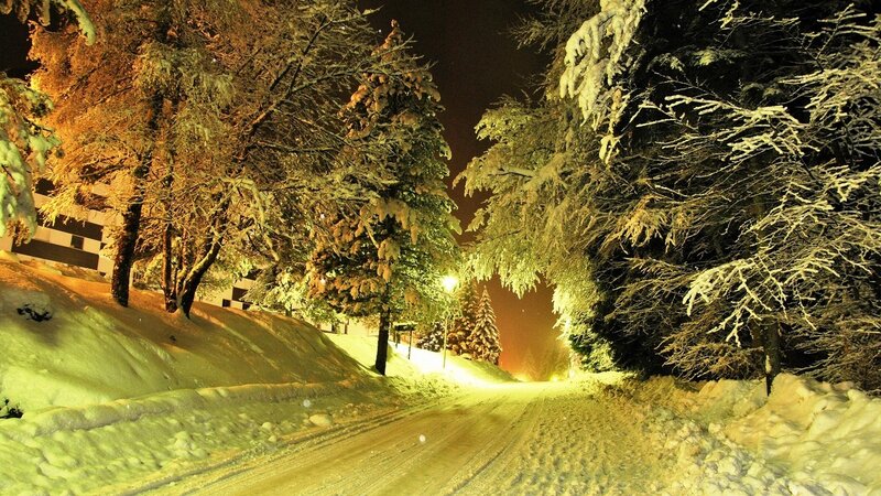 Snow-covered Road at Night — Yellow, Serene