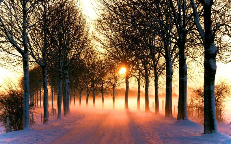Snow-covered Road at Sunrise — Orange, Serene