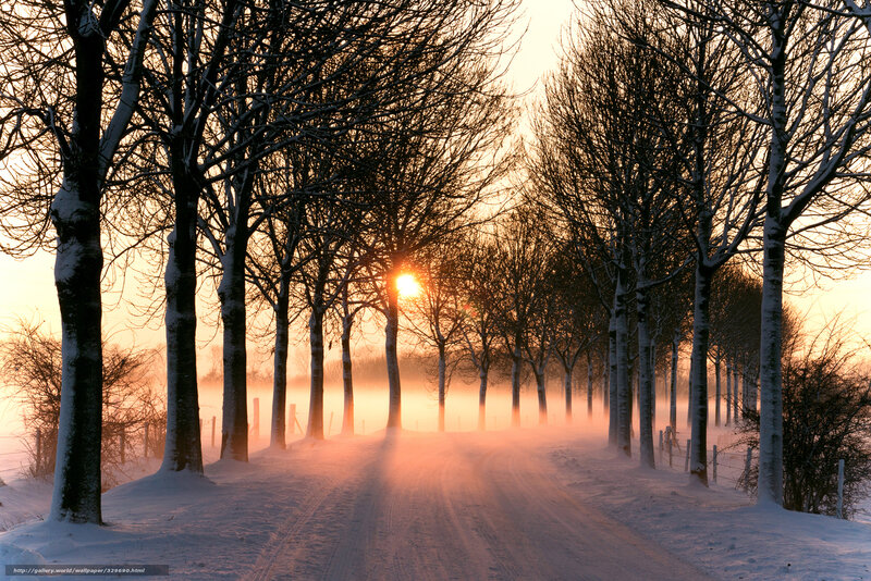 Snow-covered Road at Sunrise — Orange, Serene, Winter, Photograph, Trees