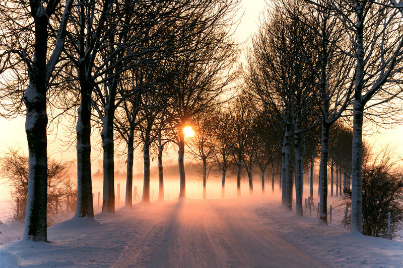 Snow-covered Road at Sunrise