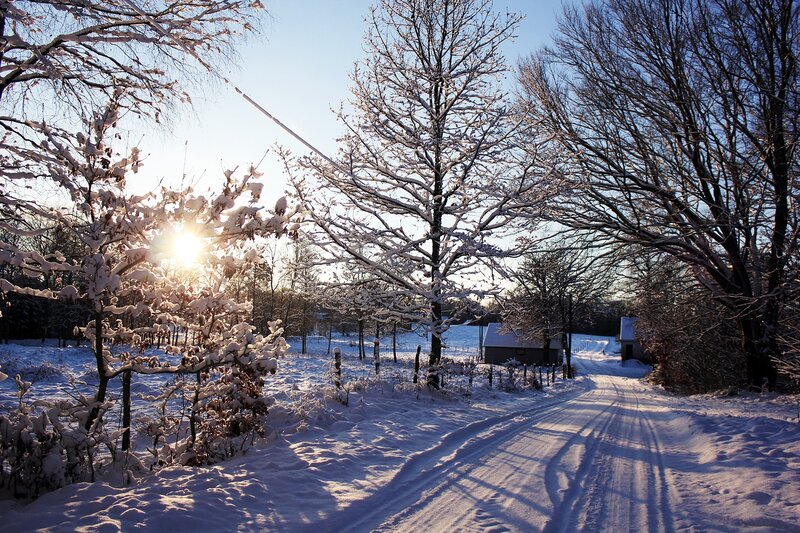 Snow-covered Road at Sunrise — White, Serene