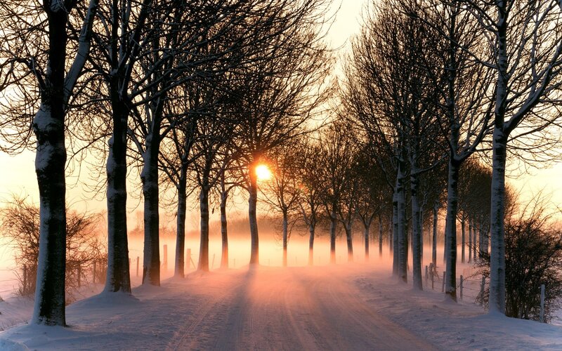 Snow-covered Road at Sunrise — White, Serene, Winter, Photograph, Trees