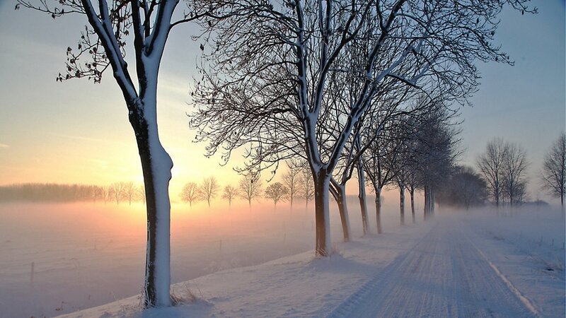 Snow-covered Road at Sunrise — White, Serene, Winter