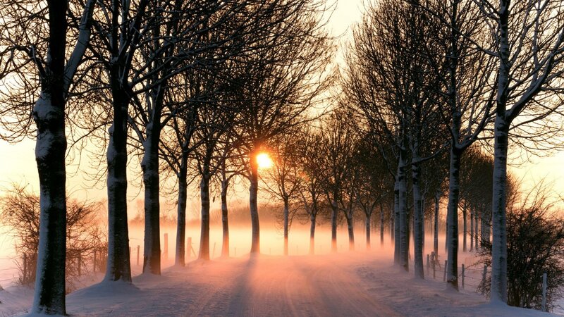 Snow-covered Road at Sunrise — White
