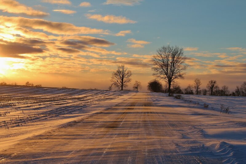 Snow-covered Road at Sunset — Blue, Serene, Photograph, Trees, Fields