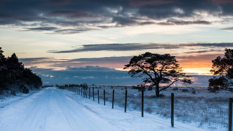 Snow-covered Road at Sunset — Blue, Serene, Winter