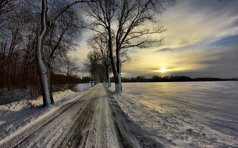 Snow-covered Road at Sunset — White, Serene, Photograph, Trees, Field, Sun
