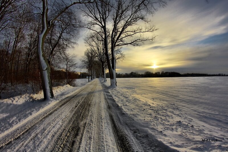 Snow-covered Road at Sunset — White, Serene, Photograph, Trees