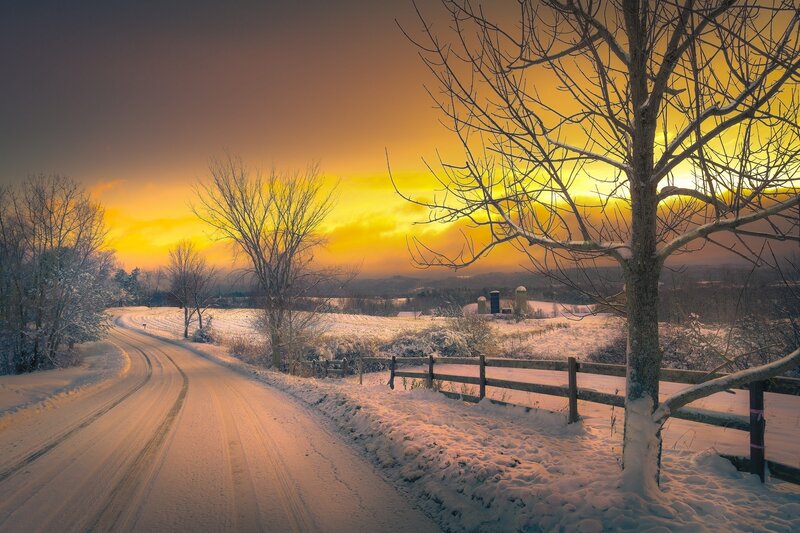 Snow-covered Road at Sunset — Yellow, Serene, Winter, Photograph, Trees