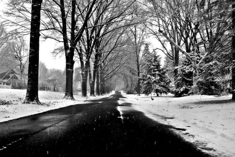 Snow-covered Road — Black, Serene