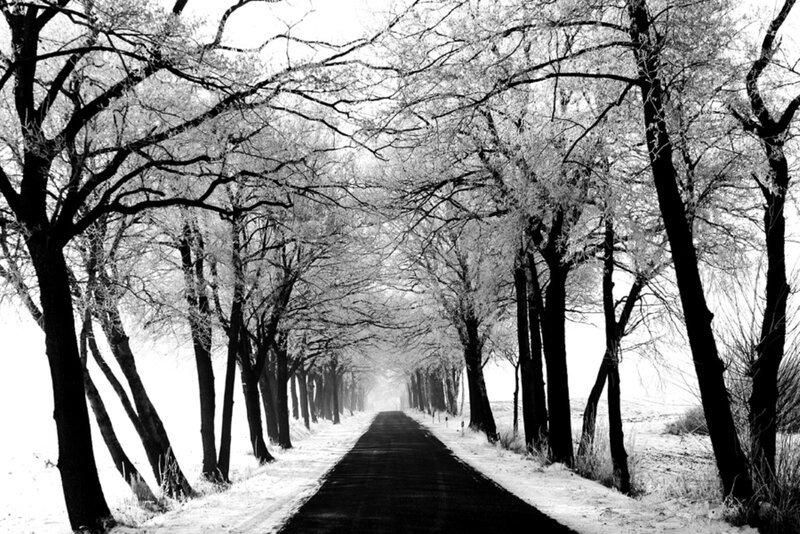 Snow-covered Road — Black