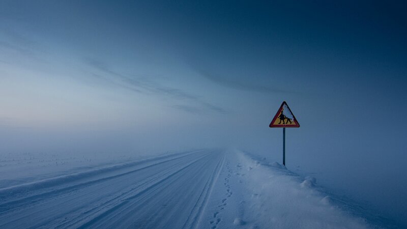 Snow-covered Road — Blue, Cold, Foggy