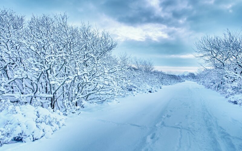 Snow-covered Road — Blue, Cold, Winter, Photograph, Trees