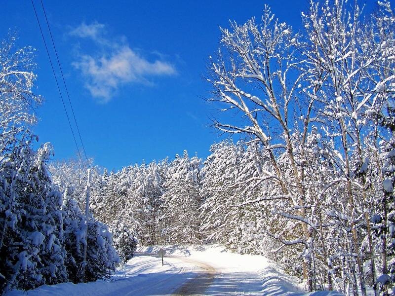 Snow-covered Road — Blue, Serene