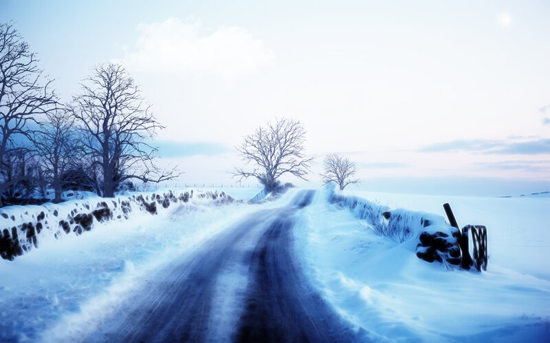 Snow-covered Road — Blue, Serene, Winter, Photograph, Bare Trees