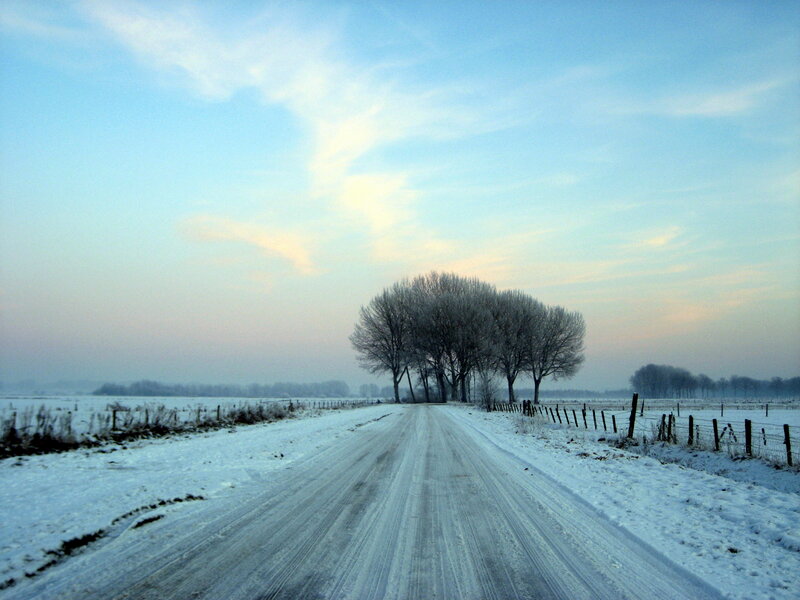 Snow-covered Road — Blue, Serene, Winter, Photograph, Trees, Fence