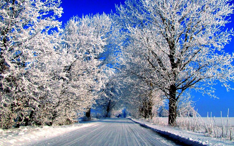 Snow-covered Road — Blue, Serene, Winter, Photograph, Trees, Sky