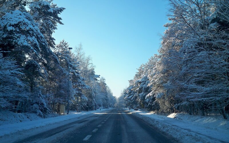 Snow-covered Road — Blue, Serene, Winter, Photograph, Trees, Streetlight