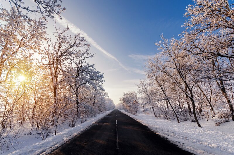 Snow-covered Road — Blue, Serene, Winter, Photograph, Trees, Sun