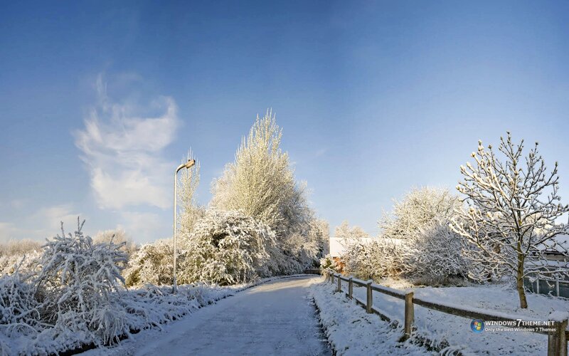 Snow-covered Road — Blue, Serene, Winter, Photograph, Trees