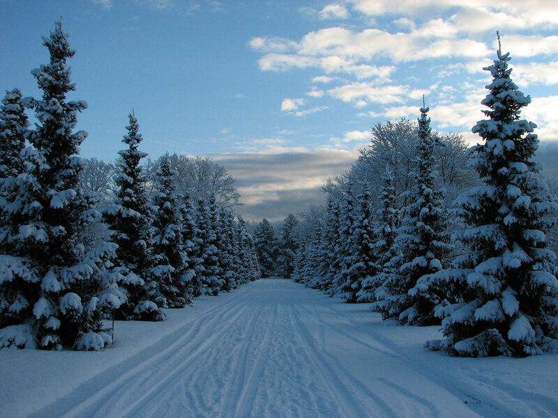 Snow-covered Road — Blue, Serene, Winter