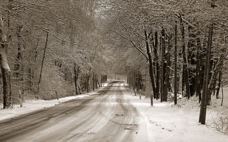 Snow-covered Road — Brown, Serene