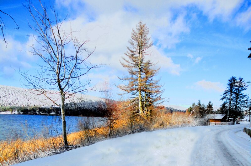 Snow-covered Road by Lake — Blue