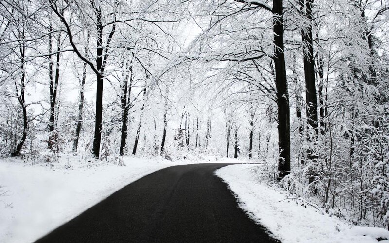 Snow-covered Road in Forest — Black, Serene
