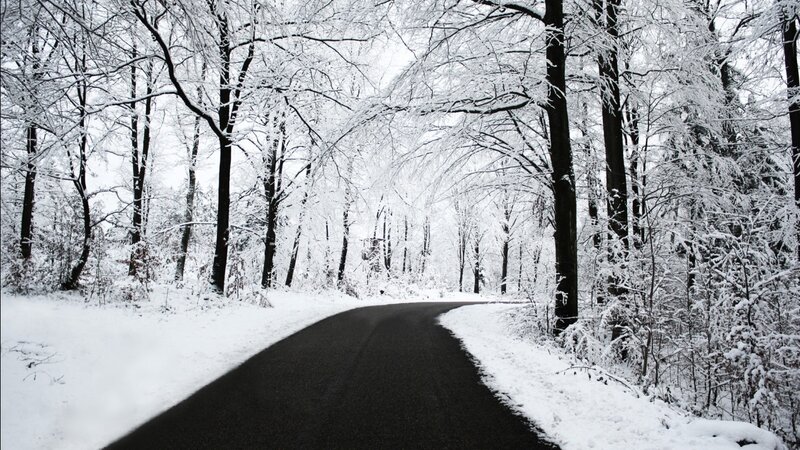 Snow-covered Road in Forest — Black, Serene, Winter