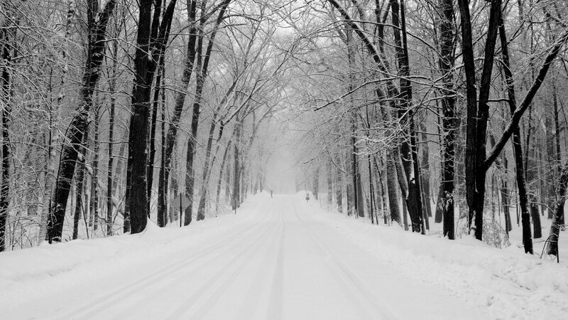 Snow-covered Road in Forest — Black