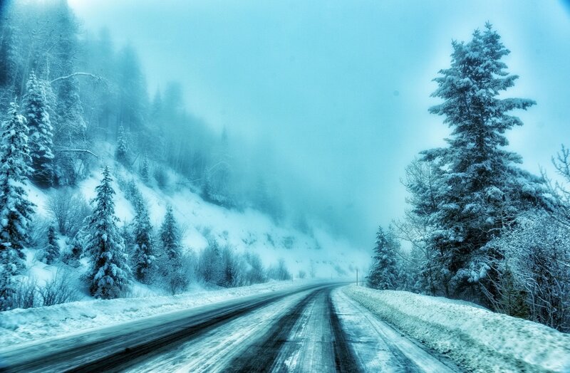 Snow-covered Road in Forest — Blue, Cold, Misty