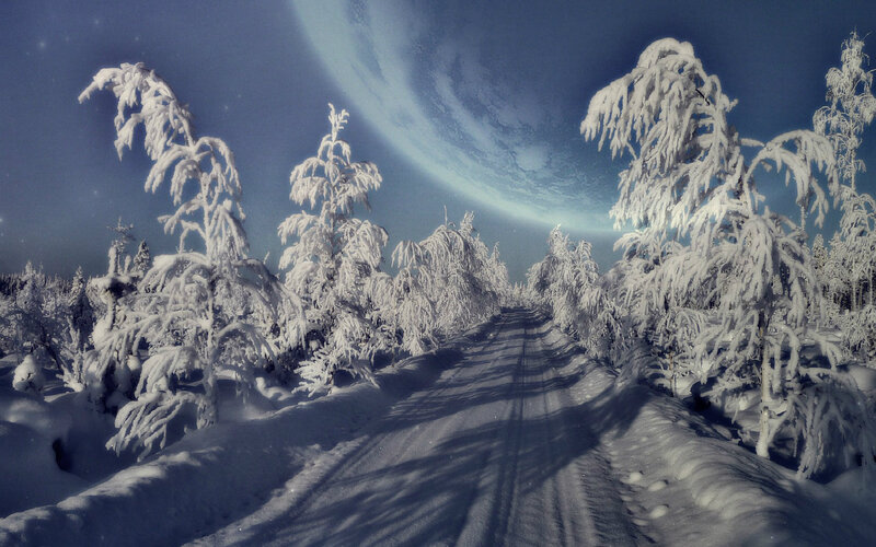 Snow-covered Road in Forest — Blue, Serene, Night