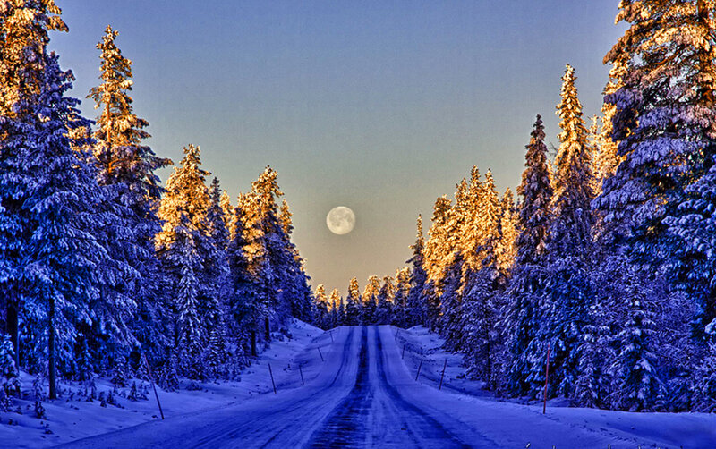 Snow-covered Road in Forest — Blue, Serene