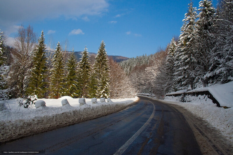 Snow-covered Road in Forest — Blue, Serene, Winter, Photograph, Trees, Mountains