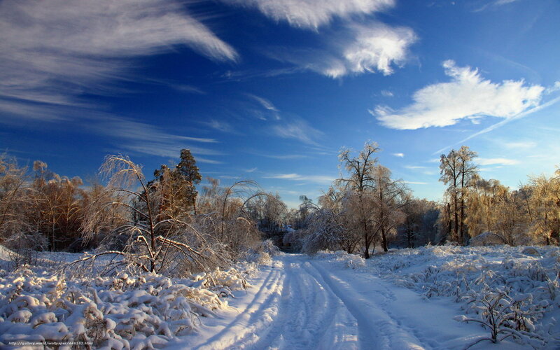 Snow-covered Road in Forest — Blue, Serene, Winter, Photograph, Trees, Sky, Clouds