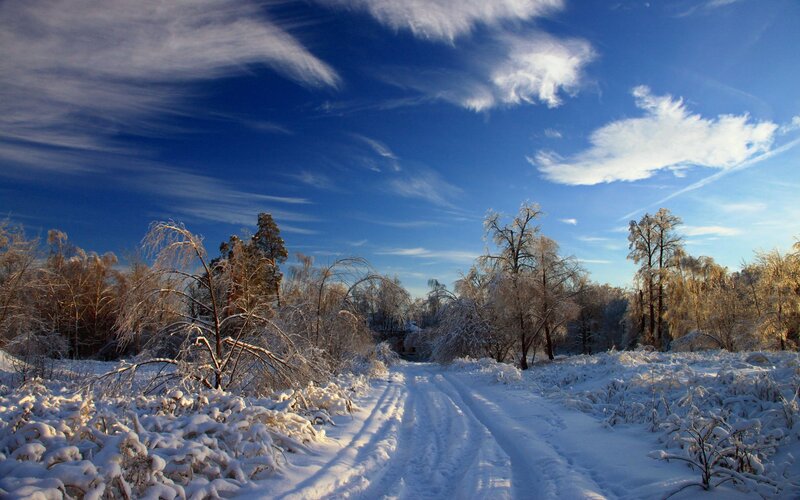 Snow-covered Road in Forest — Blue, Serene, Winter