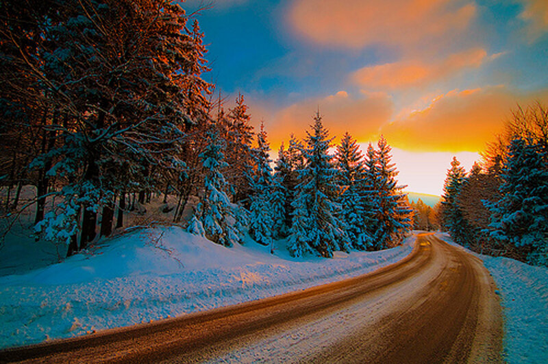 Snow-covered Road in Forest — Blue
