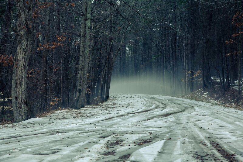 Snow-covered Road in Forest — Gray, Dreary
