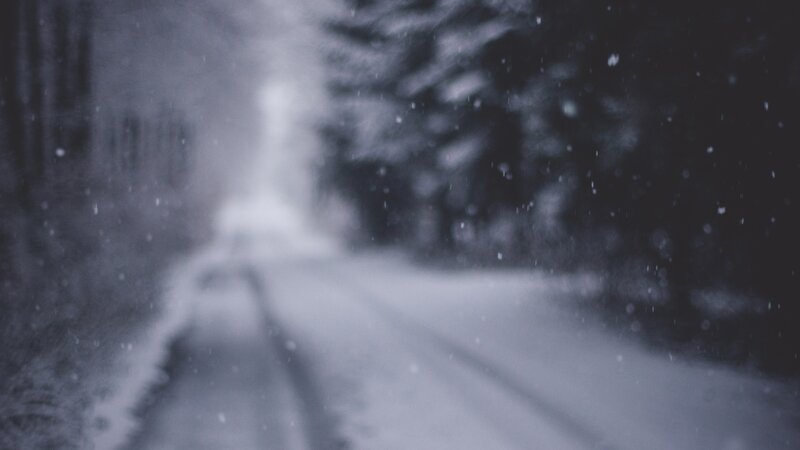 Snow-covered Road in Forest — Gray