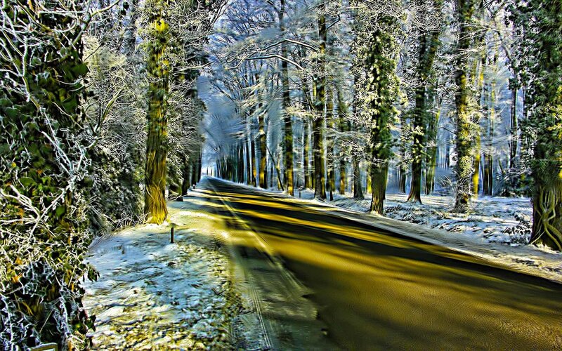 Snow-covered Road in Forest — Green, Serene, Winter, Digital Art