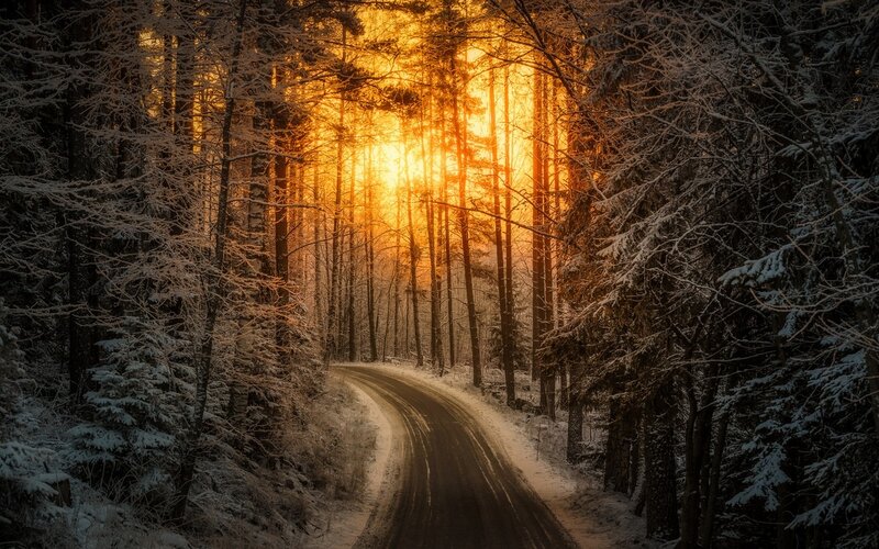 Snow-covered Road in Forest — Orange, Serene